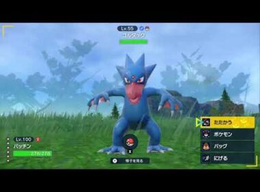 ゴルダック　色違い　約9秒～15秒ぐらいまで、画面がグルグル、16秒にグルっと動きます。