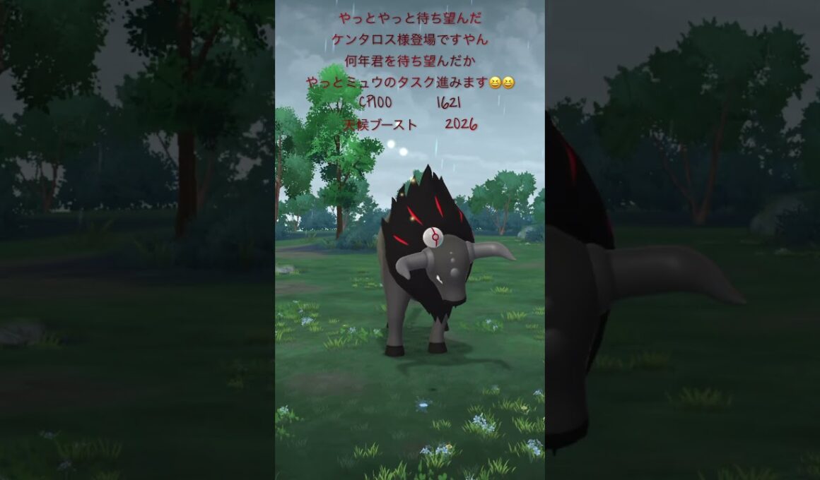 【ポケモンGO】パルデアケンタロスゲッチャレ #ポケモン #tauros #켄타로스 #pokemongo #shorts #ケンタロス #pokémon