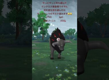 【ポケモンGO】パルデアケンタロスゲッチャレ #ポケモン #tauros #켄타로스 #pokemongo #shorts #ケンタロス #pokémon