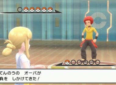 ポケモンダイパ 四天王３人目オーバ コロボーシ単騎討伐