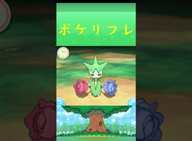 ロゼリア*ポケモン ポケリフレ ポケパルレ #ポケモン #Pokemon  #3DS #nintendoswitch #ポケモンsv #ポケモン #キャンプ #カレー #サンドイッチ #ピクニック
