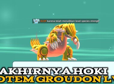 Akhirnya Kebuka Juga Totem Groudon 🔥ELF Explorer / Ultra Era pet [ KuRo OP ]