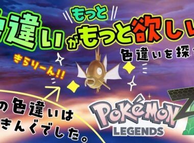 前回は色違いコイキング！！今夜は果たして色違い会えるのか！？可愛いポケモン乱獲したいたい図鑑も埋めたい🐟！！！！【Pokemon LEGENDS Z-A】#7