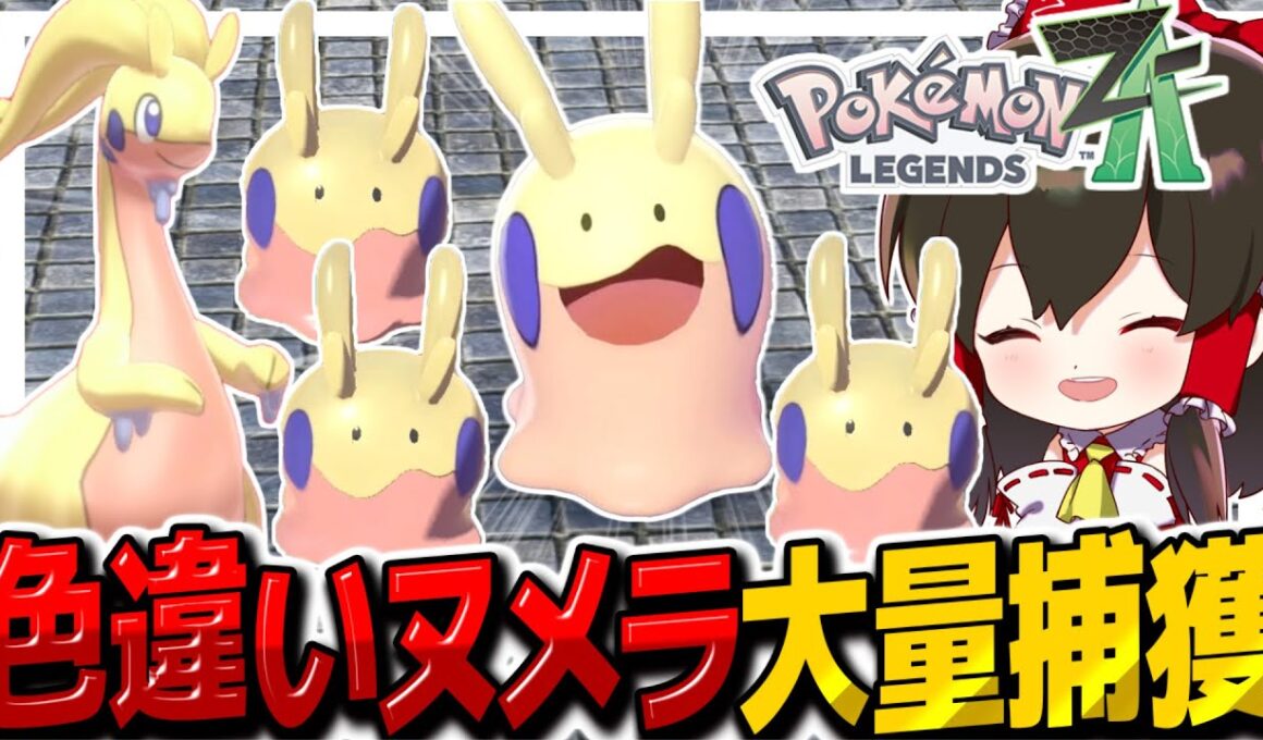 【レジェンズZA】おやぶん色違いヌメラも簡単ゲット！色違いヌメラ大量ゲットで幸せすぎた！！【ゆっくり実況/ポケモンレジェンズZ-A】