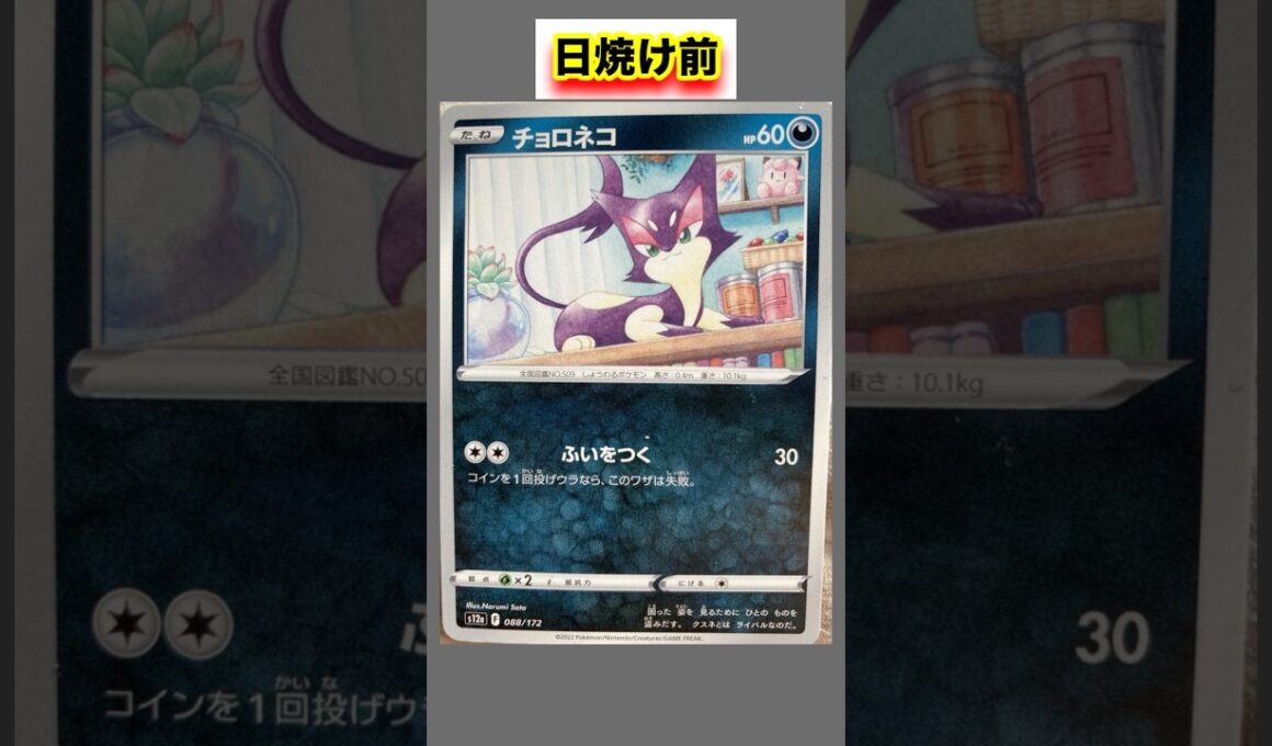 チョロネコの日焼けポケカ #shorts