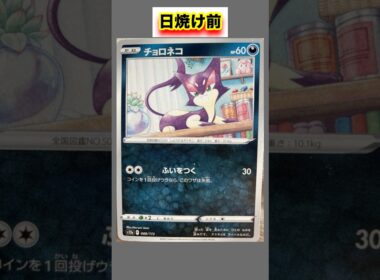チョロネコの日焼けポケカ #shorts