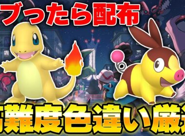 🔴ダブったら配布するヒトカゲ・ポカブの色違い厳選【ポケモンレジェンズZA】