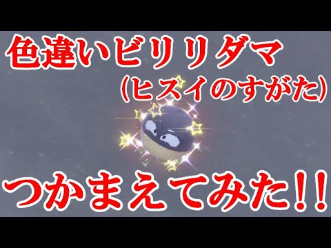 【ポケモンSV】色違いビリリダマ(ヒスイのすがた)つかまえてみた！！