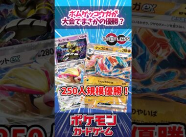 ゲッコウガexが大会で活躍？相方はヨノワールとピジョット！【デッキ解説】【対戦】【PTCGL】【大会】#ポケカ #ポケモンカード