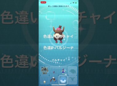 ポケモンGO 色違いバルチャイ出現！色違いバルジーナへ進化！ #ポケモンgo #pokémon #ポケモン #pokemongo