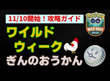 11/10開催！完全攻略【ワイルドウィーク！対策】簡単解説 #ワイルドエリア #ネクロズマ #ダークライ #ストリンダー #ルギア #ホウオウ