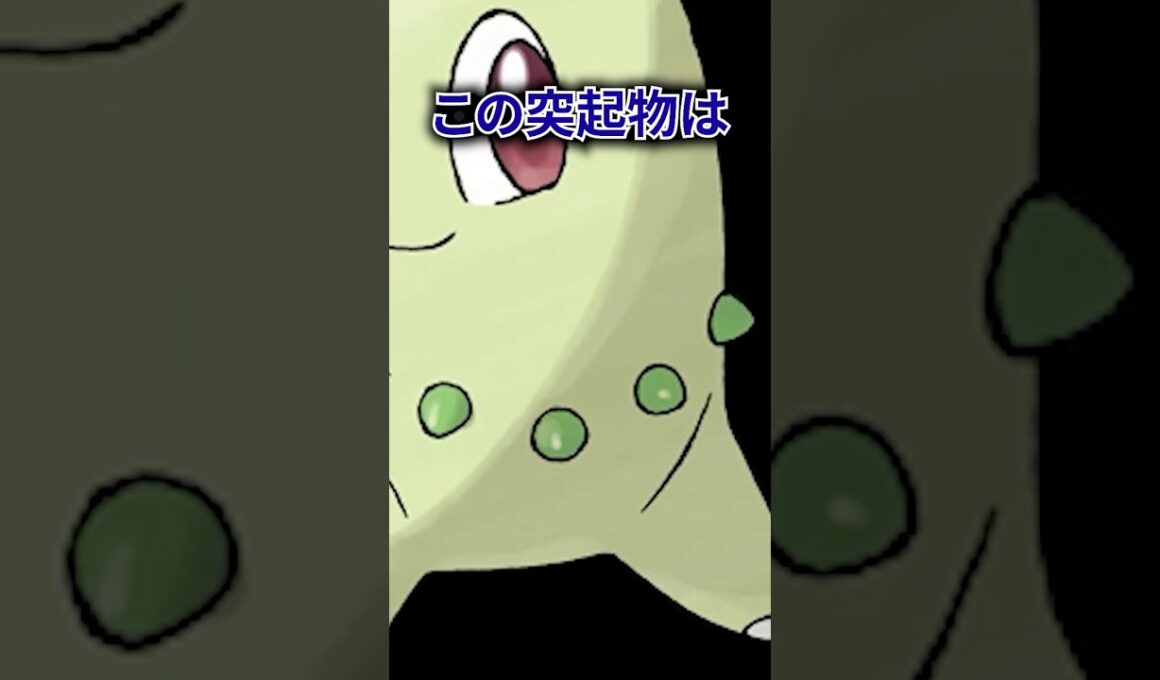 ポケモンの雑学3選Part392 #なぞはな #ポケモン #ポケモンカード #ポケモンオリジナルアニメ #ポケポケ #shorts #チコリータ #タブンネ #タッツー #ポケモンza