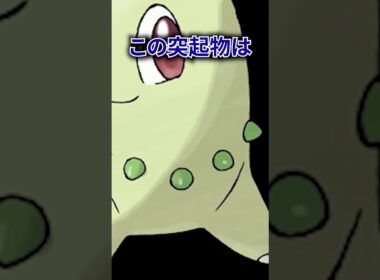 ポケモンの雑学3選Part392 #なぞはな #ポケモン #ポケモンカード #ポケモンオリジナルアニメ #ポケポケ #shorts #チコリータ #タブンネ #タッツー #ポケモンza