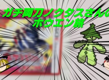 [ポケモンOR]＃1 ガチ両刀ノクタスさんのホウエン旅