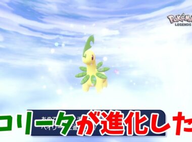 【ポケモンZ-A】チコリータが進化！ベイリーフになったぞ！！！【ポケモンレジェンズZA】#6