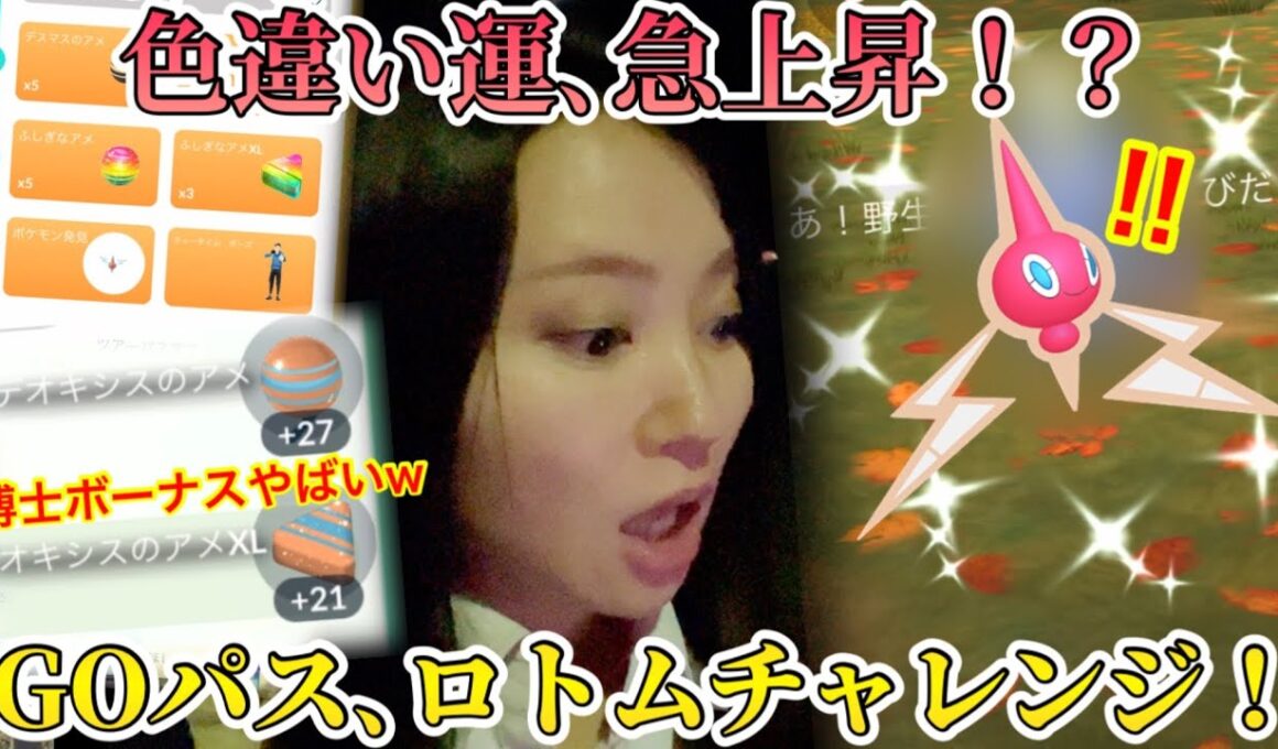 GOパスハロウィン全開封！！コスポケ＆ロトム！色違い運、急上昇中！？明日のための徹底準備もお忘れなく！【ポケモンGO】