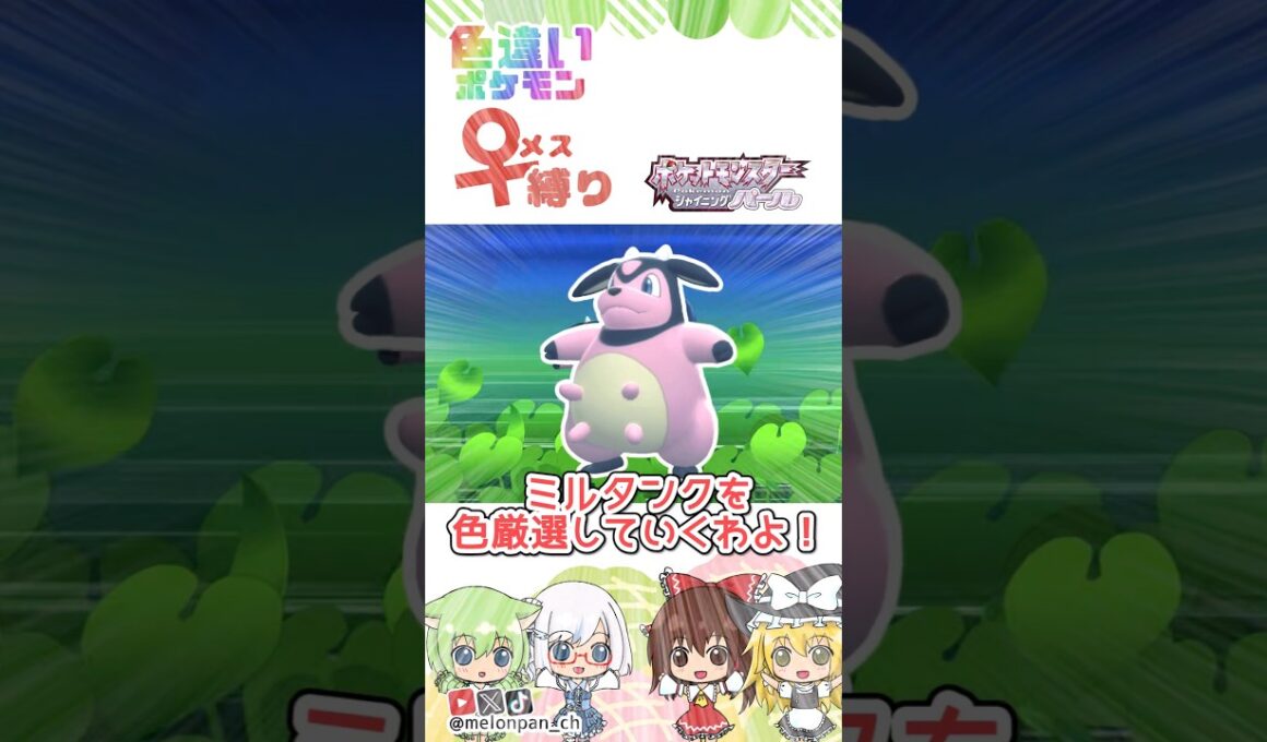 父の日なので「ちち」を色厳選しました！(｡・ω・｡)ゞBDSPでミルタンクポケトレ色厳選！🐮　#ポケモン #色違い #ゆっくり実況
