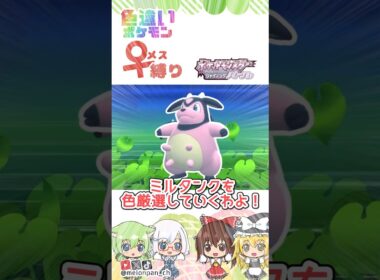 父の日なので「ちち」を色厳選しました！(｡・ω・｡)ゞBDSPでミルタンクポケトレ色厳選！🐮　#ポケモン #色違い #ゆっくり実況
