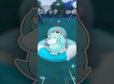 浮き輪コダックが、可愛いだけ！【ポケモンGO】