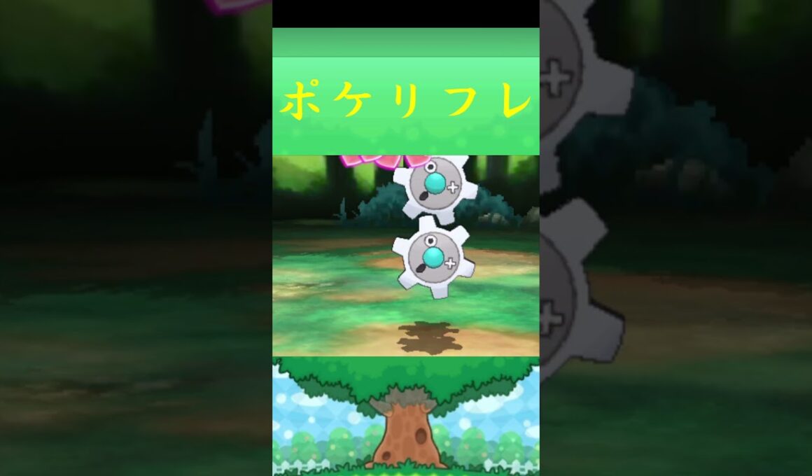 ギアル*ポケモン ポケリフレ ポケパルレ #ポケモン #Pokemon  #3DS #nintendoswitch #ポケモンsv #ポケモン #キャンプ #サンドイッチ #ピクニック
