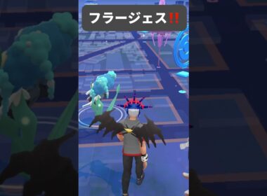 【ポケモンGO】フラージェスが現れた!!【✨When I Got Florges Pokémon GO✨】【Pokemon Card Artwalk】【ポケポケ】