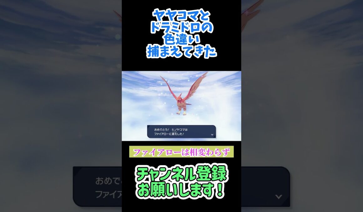 ヤヤコマの色違いめっちゃでる #レジェンズz-a #ポケモン