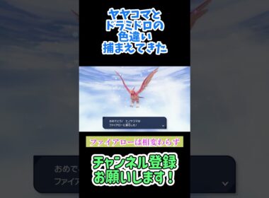 ヤヤコマの色違いめっちゃでる #レジェンズz-a #ポケモン