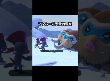 マニューラvsマンムーが一方的すぎて切ない #ポケモン #newポケモンスナップ