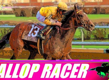 シーズン2開幕前に！ギャロップレーサー2004 HRGダイナスティ エピソード23 - 解説