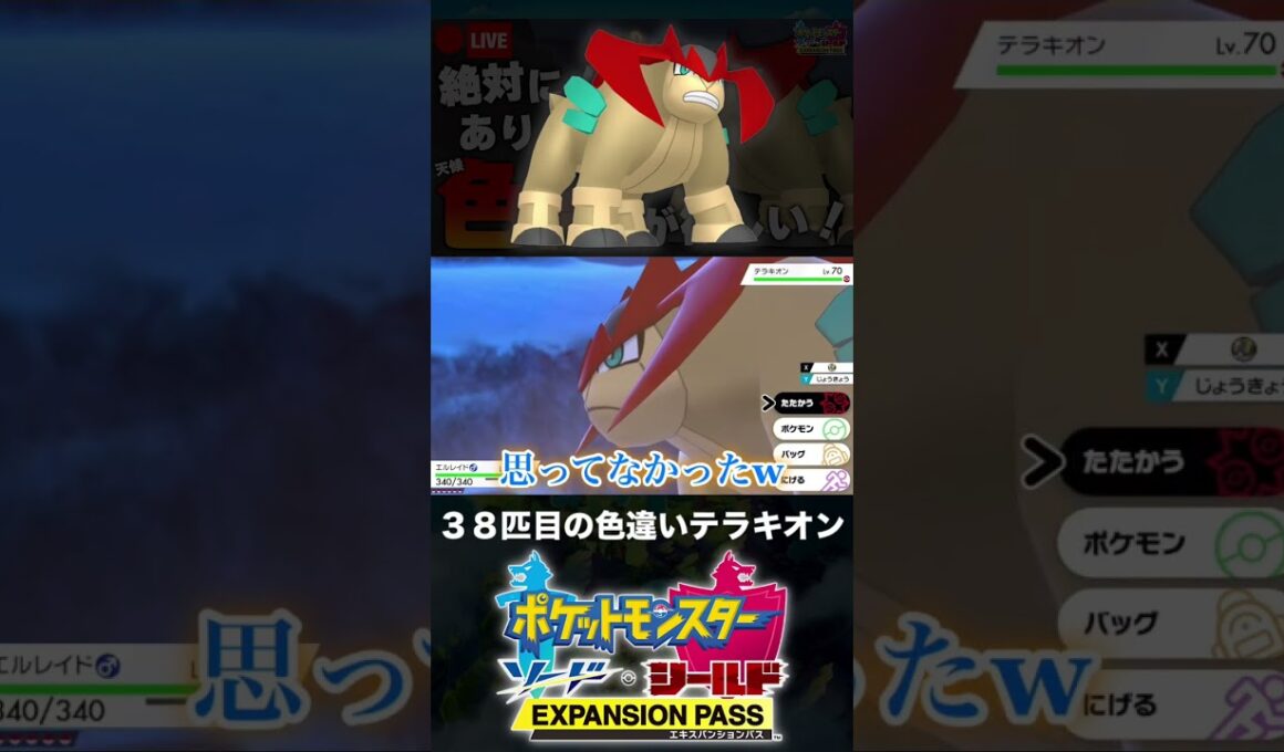 38匹目の色違いテラキオンと邂逅した男【ポケモン剣盾】