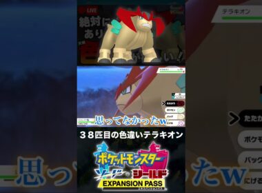 38匹目の色違いテラキオンと邂逅した男【ポケモン剣盾】