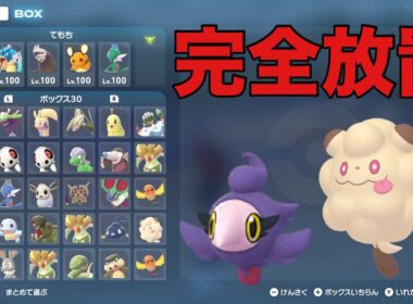 　色違い親分シュシュプとペロッパフを完全放置で厳選出来るベンチを紹介します ついでにフォッコもベンチあるから見て 【Pokémon LEGENDS Z-A】#ポケモン #pokemonlegends