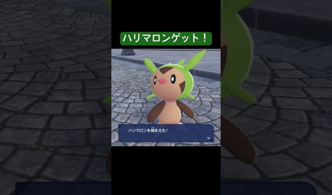 やる気満々ハリマロン/Pokémon LEGENDS Z-A #pokemon #ポケモン