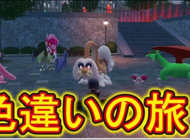 【#ポケモンレジェンズZA】ひかおまゲット！通信エラー！色違いオヤブンミミロップとフラージェスゲット！色違いオヤブンチームを作っていこうライブ配信！