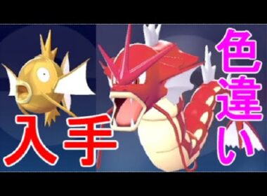 【ポケモンZA】色違い黄金のコイキング入手場所・赤いギャラドスに進化オヤブン厳選【レジェンズZA】攻略実況