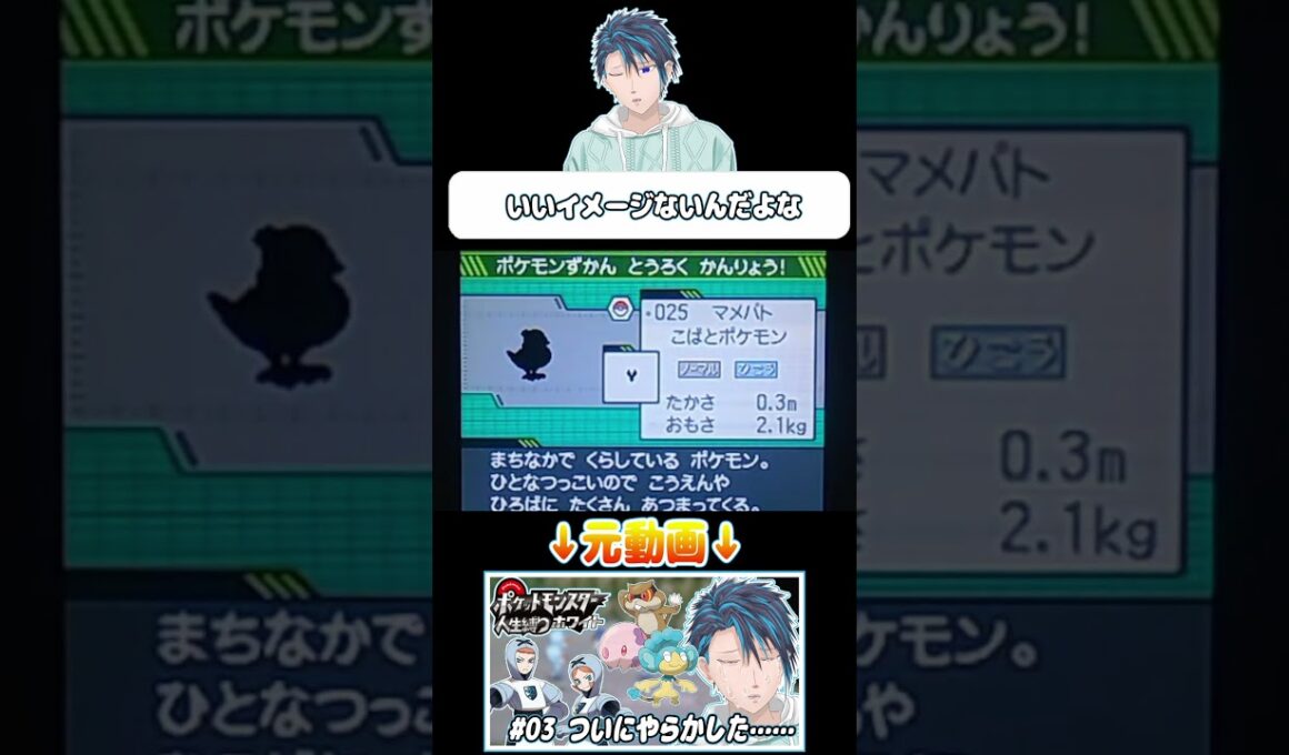 マメパトを見て鳩への憎しみを募らせる天澄【人生縛りポケモンホワイト】