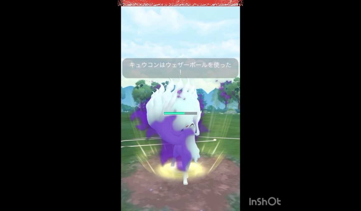 SAキュウコンが刺さってた💨