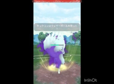 SAキュウコンが刺さってた💨