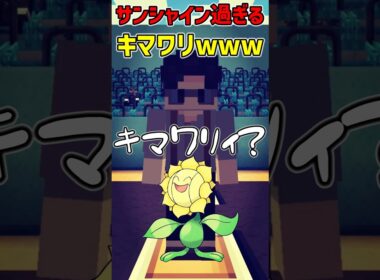 【ポケモン】クスッと笑えるショートコント!!『サンシャイン過ぎるキマワリwww』【マイクラ】#shorts