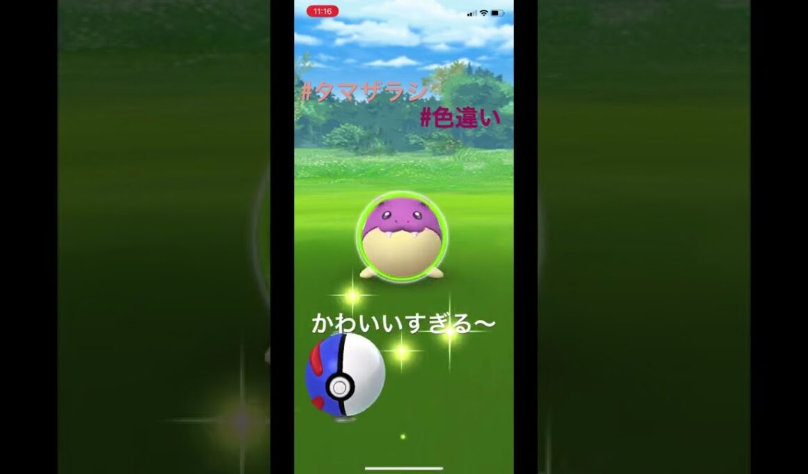 タマザラシの色違いが可愛すぎる件　#ポケモンgo #色違い #ゲットチャレンジ #タマザラシ