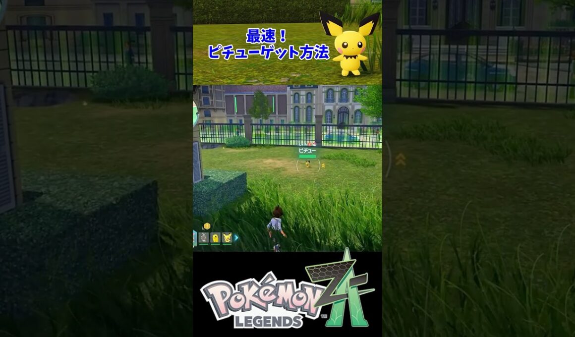 レアポケモン『ピチュー』出現場所・入手方法【ポケモンZA・攻略動画・任天堂スイッチ】#shorts  #ポケモン #ポケモンza #攻略動画