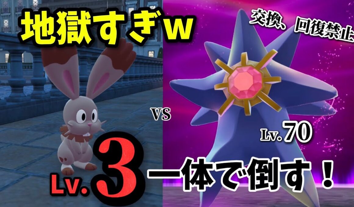 【ポケモンZA】Lv3ホルビー1体で強化メガスターミーを撃破..！？