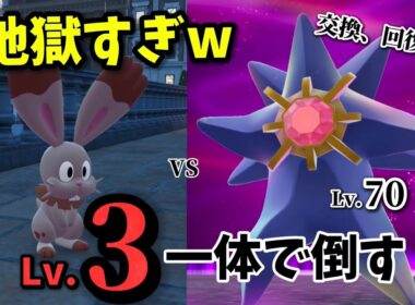 【ポケモンZA】Lv3ホルビー1体で強化メガスターミーを撃破..！？