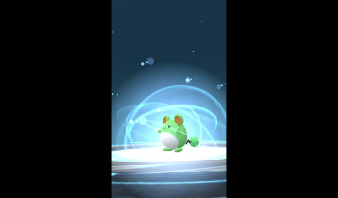 【ポケモンGO】 No.183 マリル（色違い）を進化させてみた！/Pokémon GO No.183 Marill (shiny) Evolving challenge #shorts