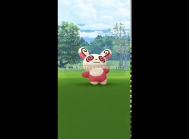 【ポケモンGO】タスクでパッチール GET✨