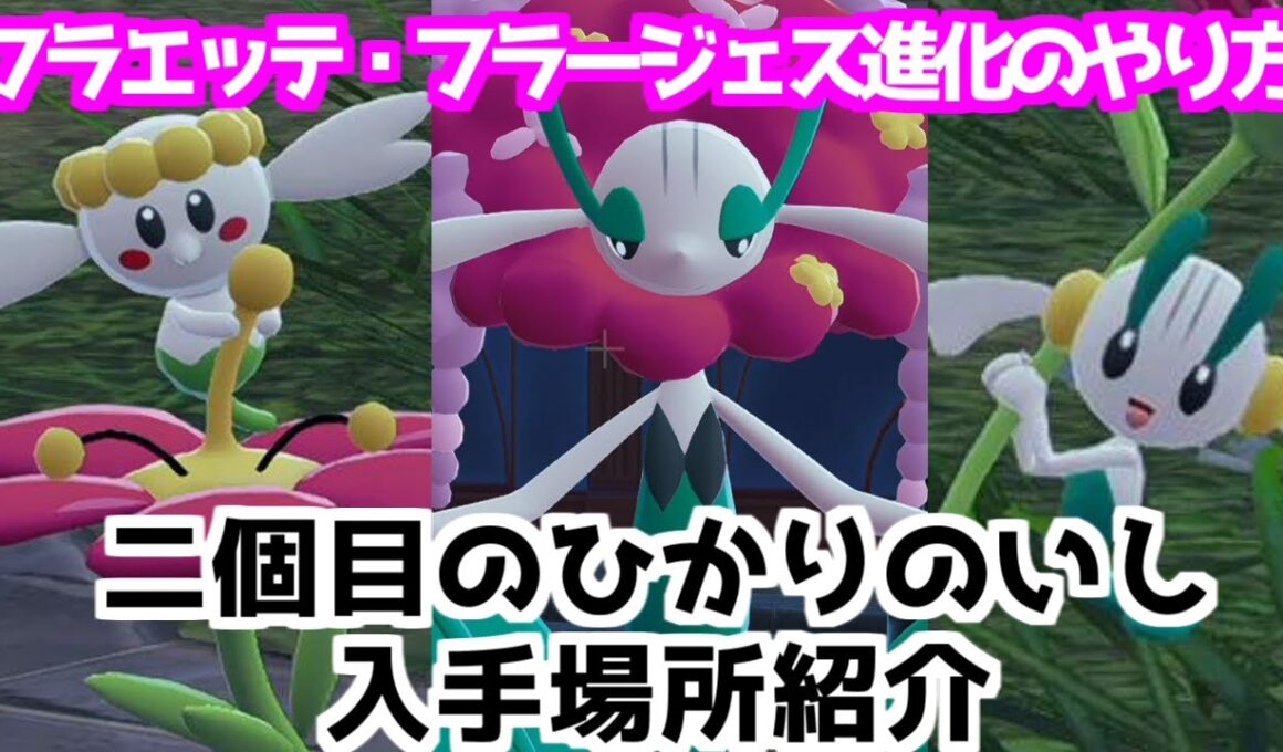 【ポケモンZA】ひかりのいし フラエッテ フラージェス 入手方法 進化方法 攻略 【Pokémon LEGENDS ジガルデ ポケモン レジェンズ ジガルデ】