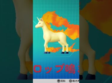 ピカブイ【図鑑NO078】ギャロップ鳴き声#ポケモン鳴き声 #図鑑コンプ #レッツゴーピカチュウ #レッツゴーイーブイ#ポケモン生態#ギャロップ動き#Rapidash