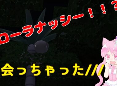 【マイクラ】ビードル保護に向かったら、アローラナッシー？？【ポケモンMOD】