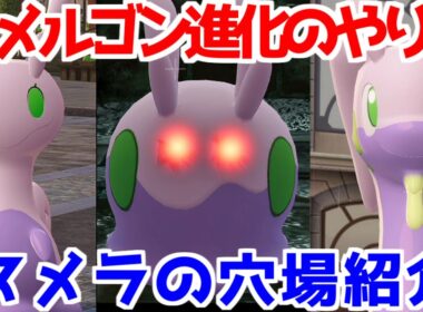 【ポケモンZA】ヌメラ ヌメイル ヌメルゴン オヤブン個体 穴場 出現場所  入手方法 進化方法 攻略 【Pokémon LEGENDS ジガルデ ポケモン レジェンズ ジガルデ】