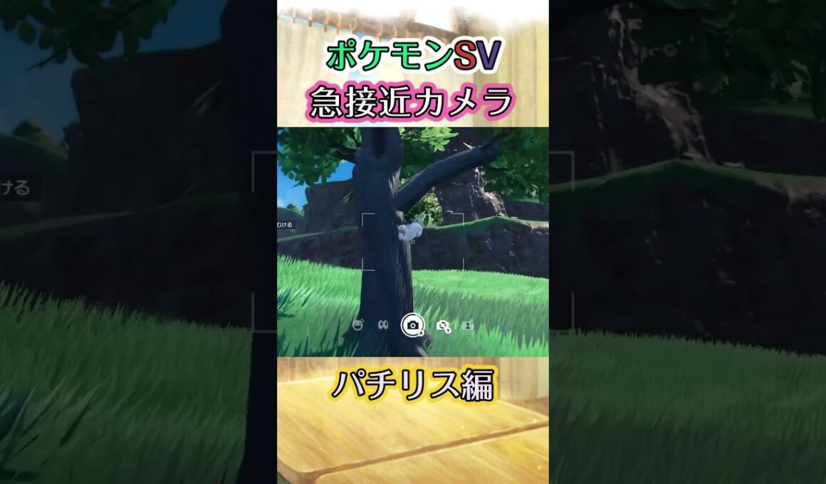 【ポケモンSV】パチリスがﾄｺﾄｺと木を登っていくだけの動画 #ポケモン #ポケモンsv #パチリス #shorts